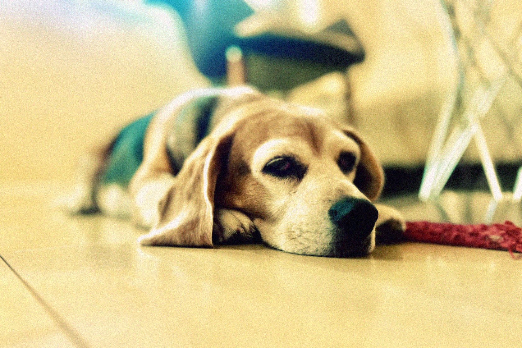 14.暮らしのなんでもサービス